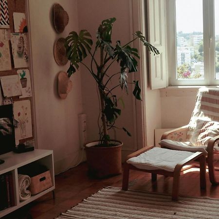 Coimbra Erasmus House - Guest House エクステリア 写真