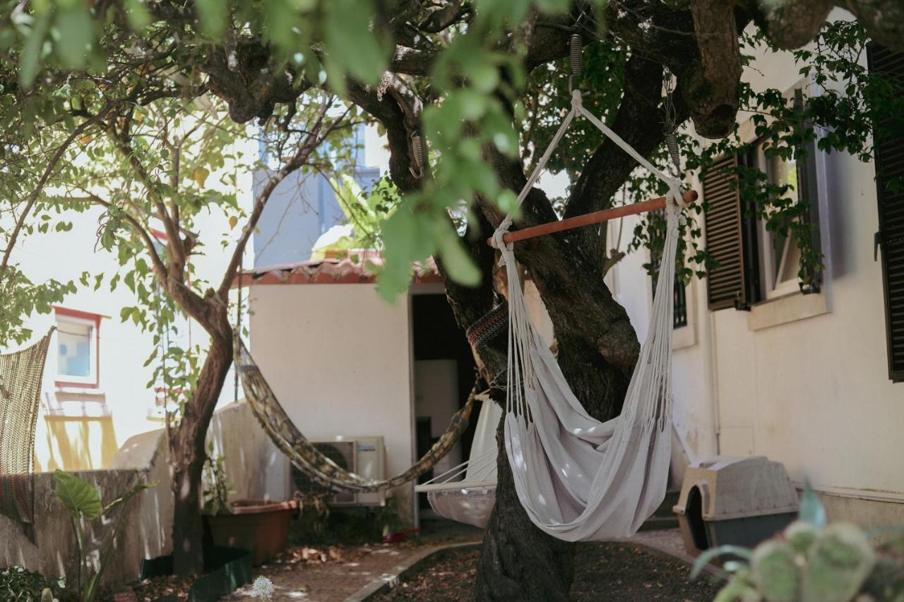 Coimbra Erasmus House - Guest House エクステリア 写真