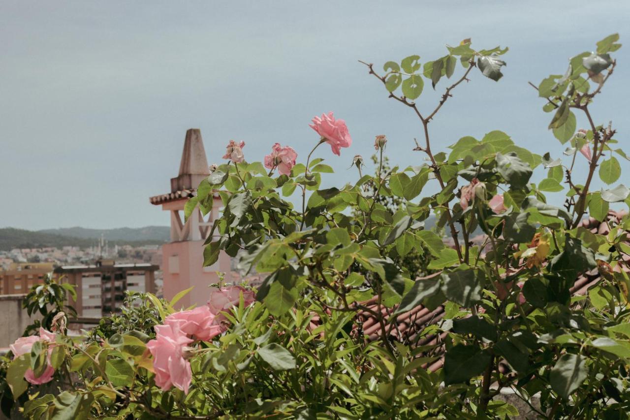 Coimbra Erasmus House - Guest House エクステリア 写真